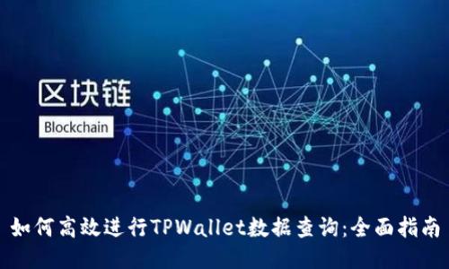 如何高效进行TPWallet数据查询：全面指南